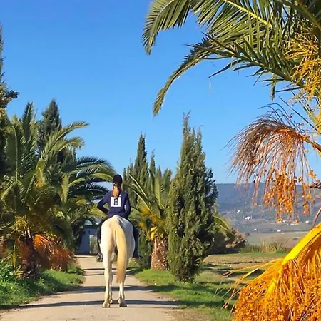 Finca El Vicario